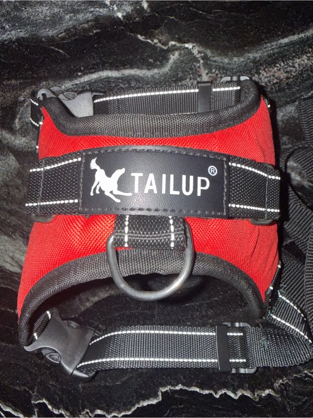Tail Red Padded Dog Harness with Black Leash